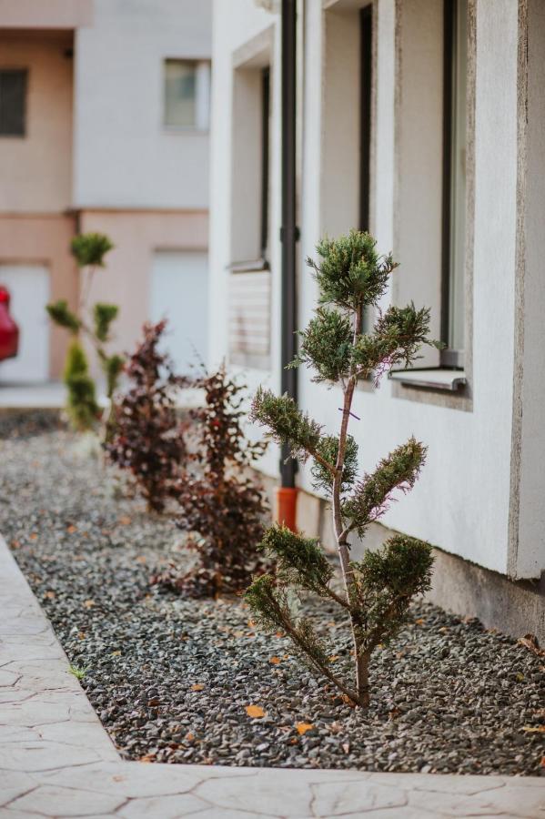 The Nook Aparthotel Timisoara Exterior photo